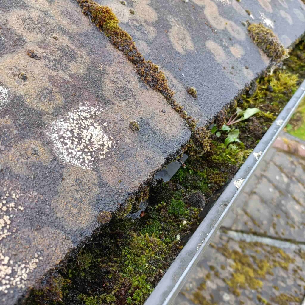 Gutter Cleaning Buffalo NY